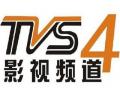 TVS4广东影视频道