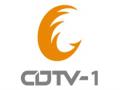 cdtv1成都新闻综合频道